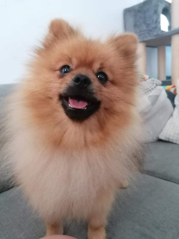 Bailey