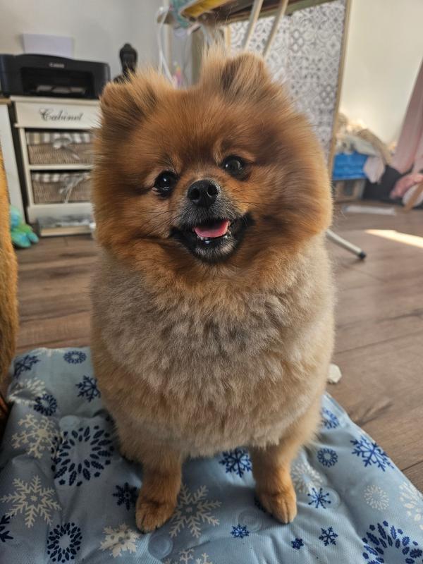 Bailey