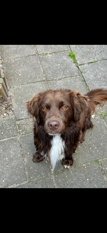 Marley