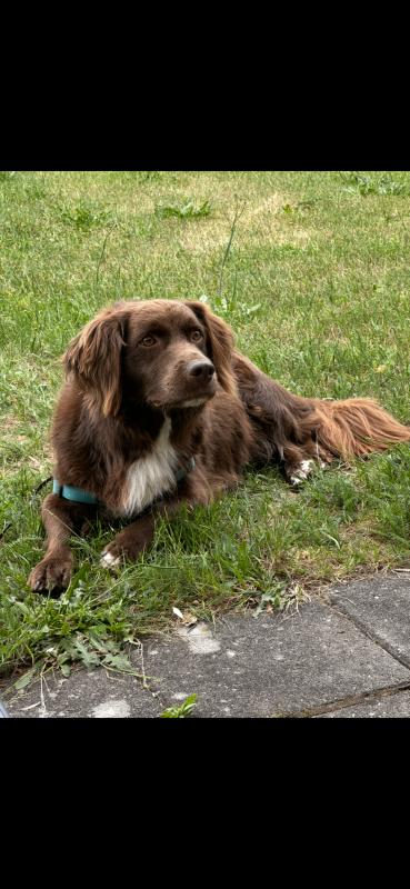 Marley