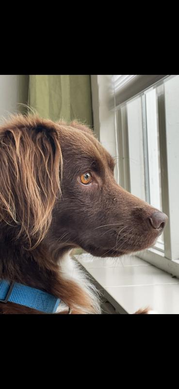 Marley