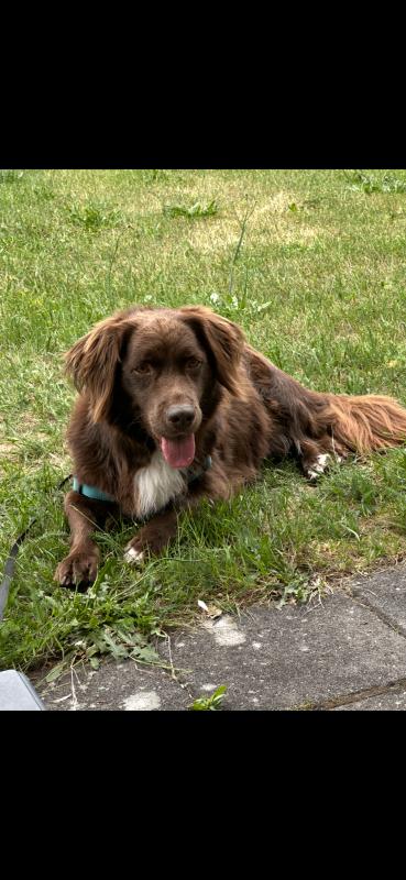 Marley