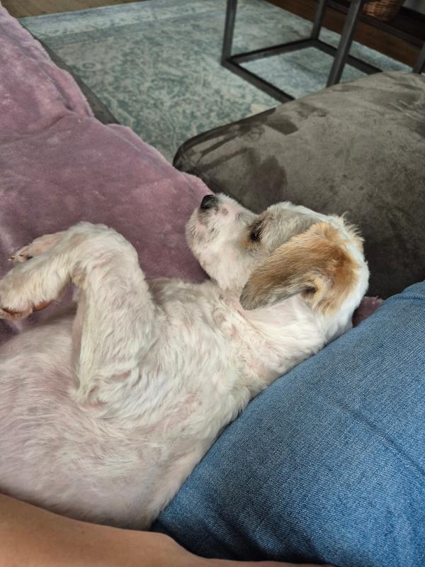 Marley