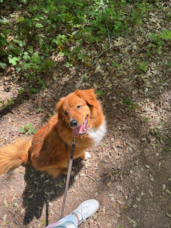 Max