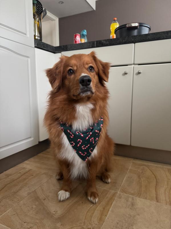 Max