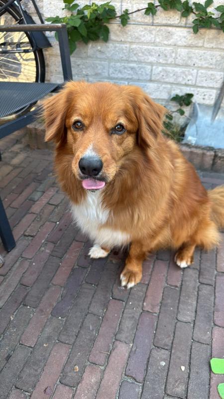 Max