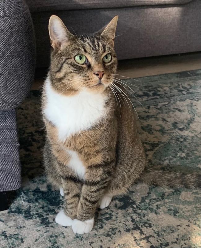 Karel