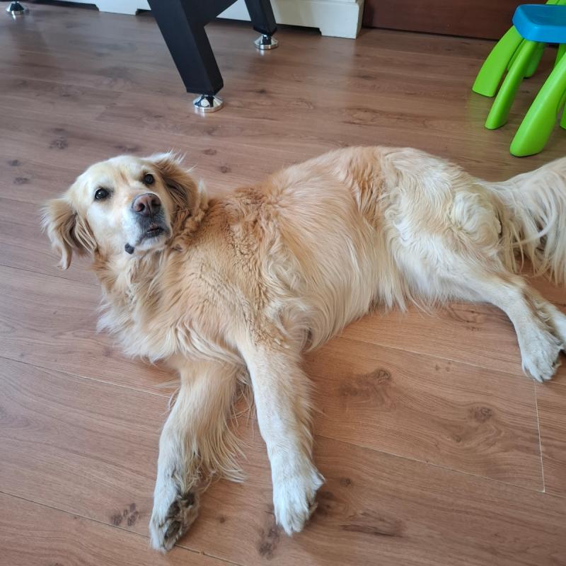 Luca