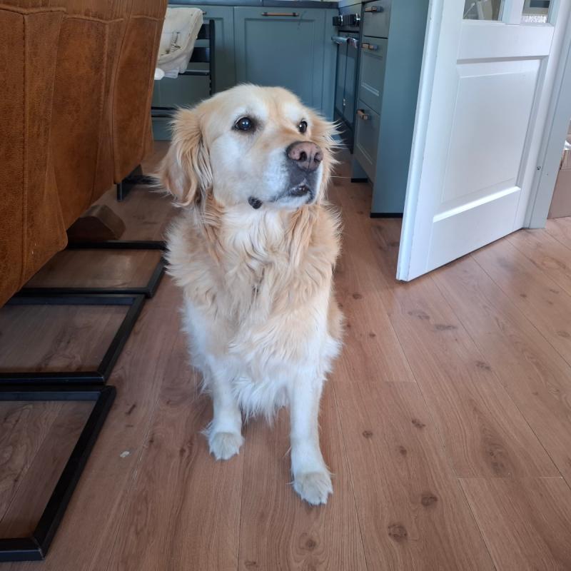 Luca