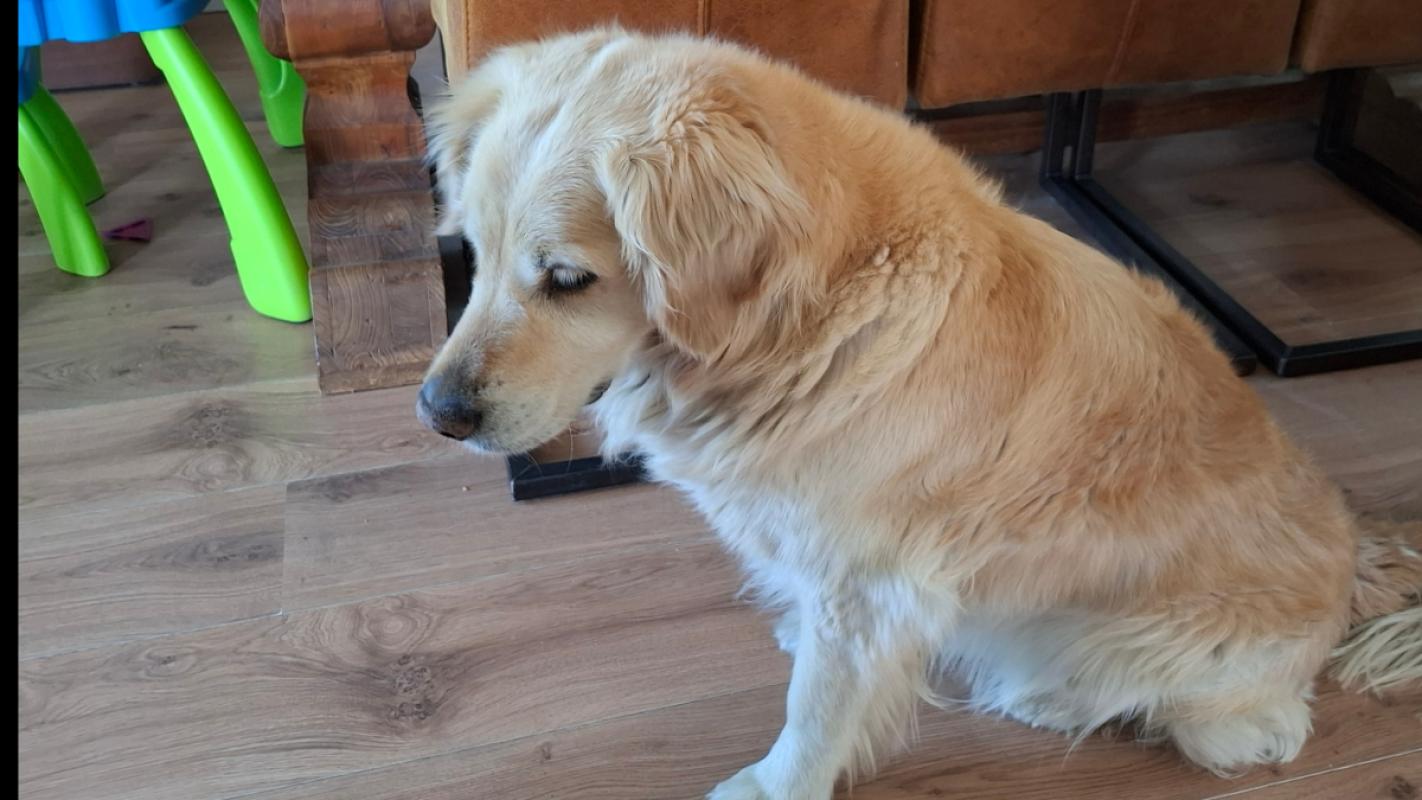 Luca