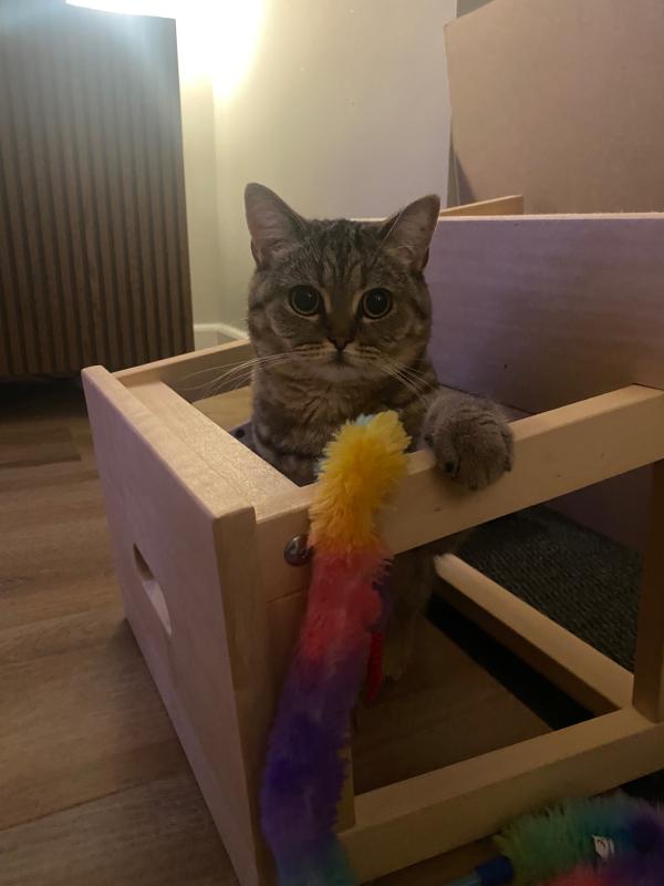 Luna
