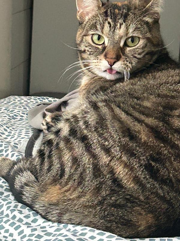 Mia