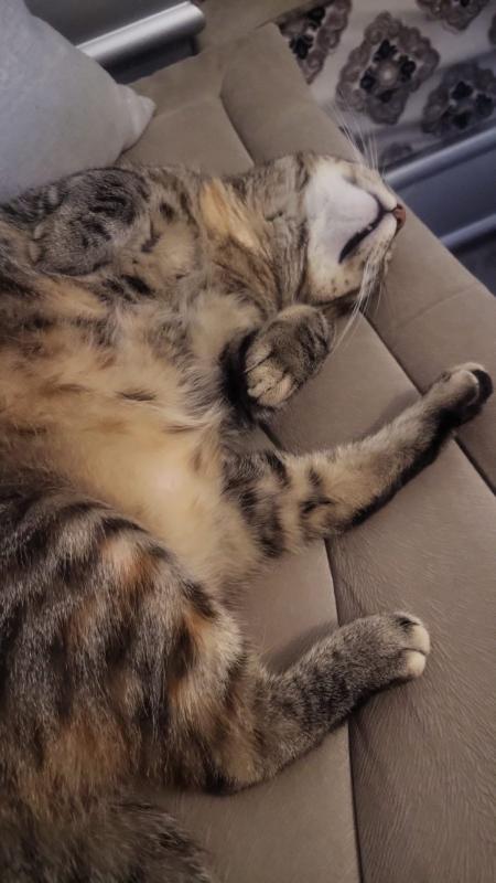 Mia