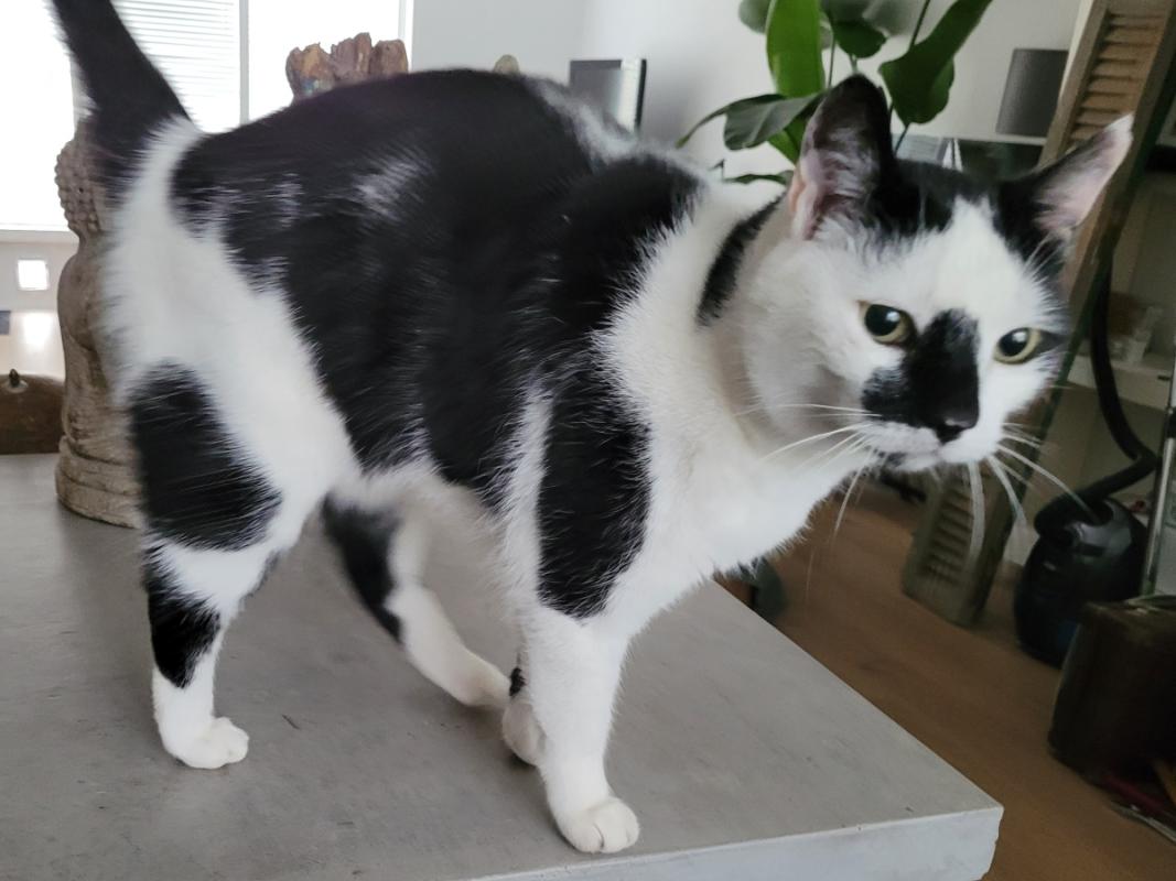 Zoë