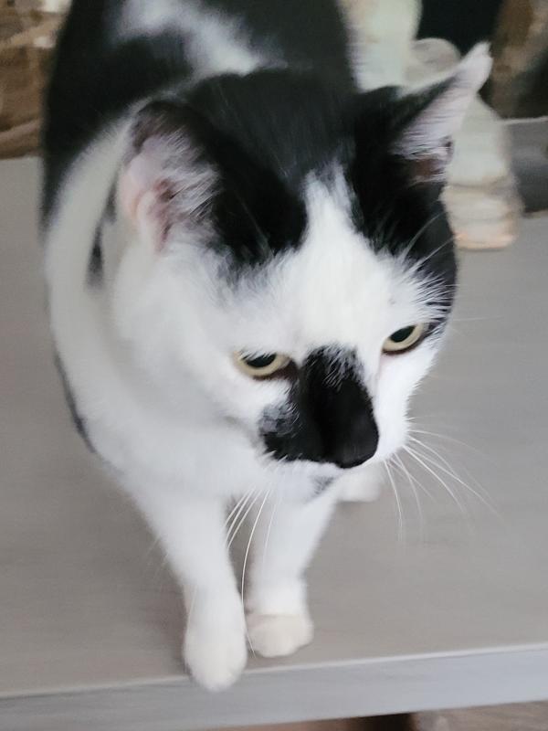 Zoë