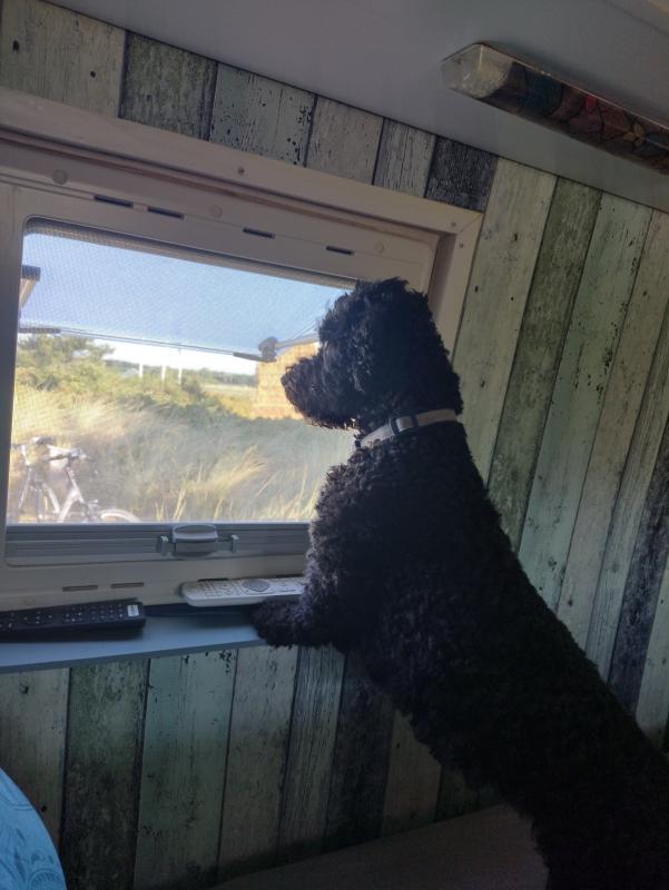 Loetje
