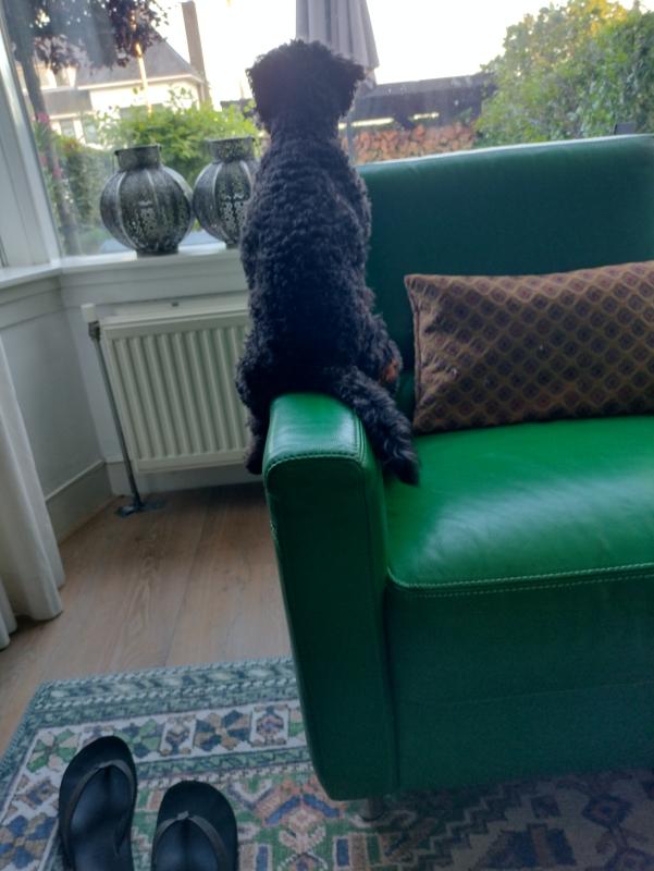 Loetje