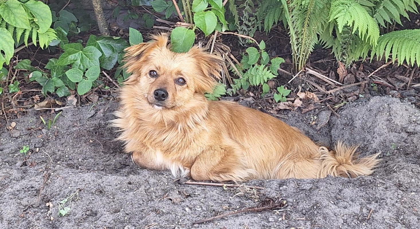 Bella