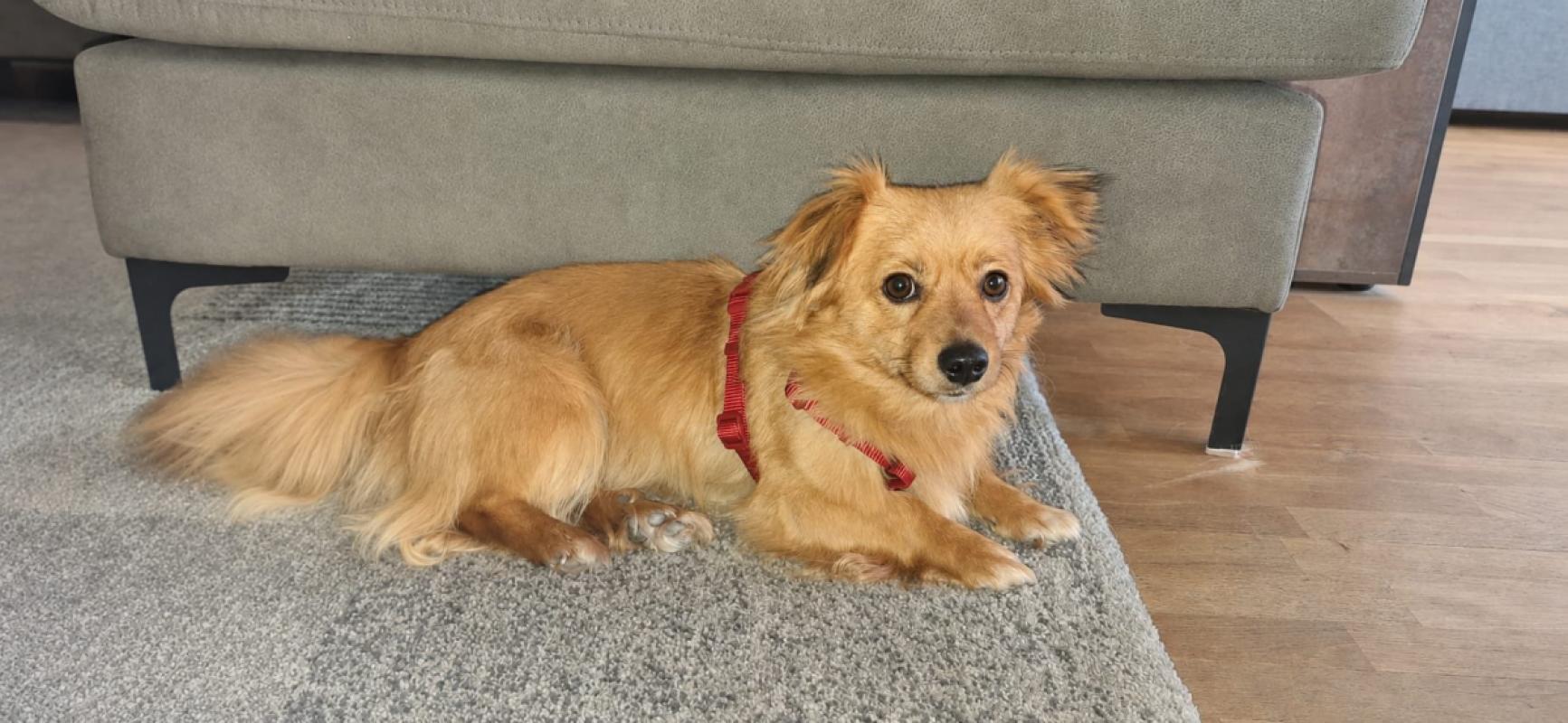 Bella