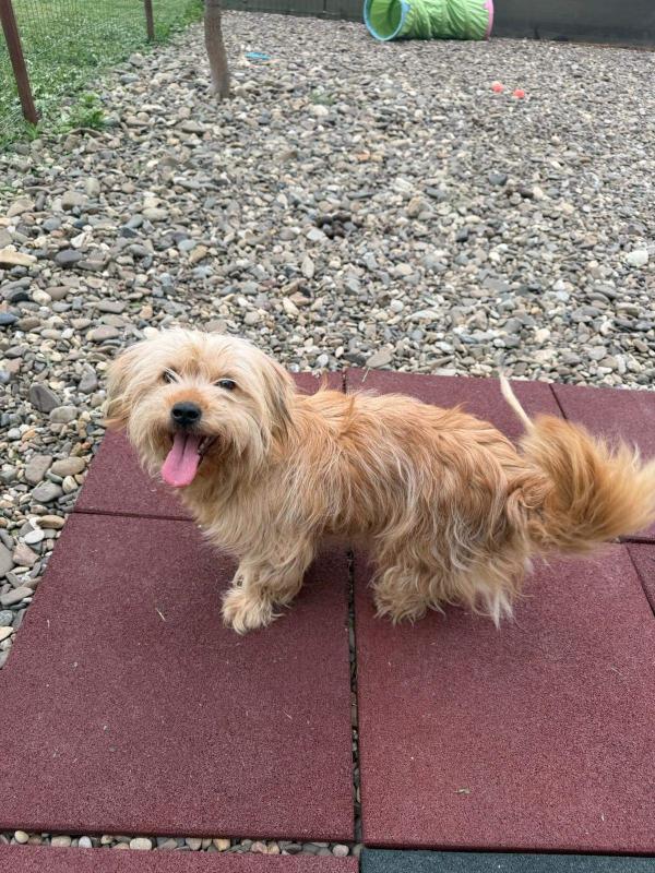 Rosie