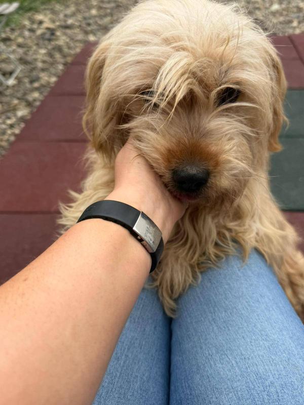 Rosie