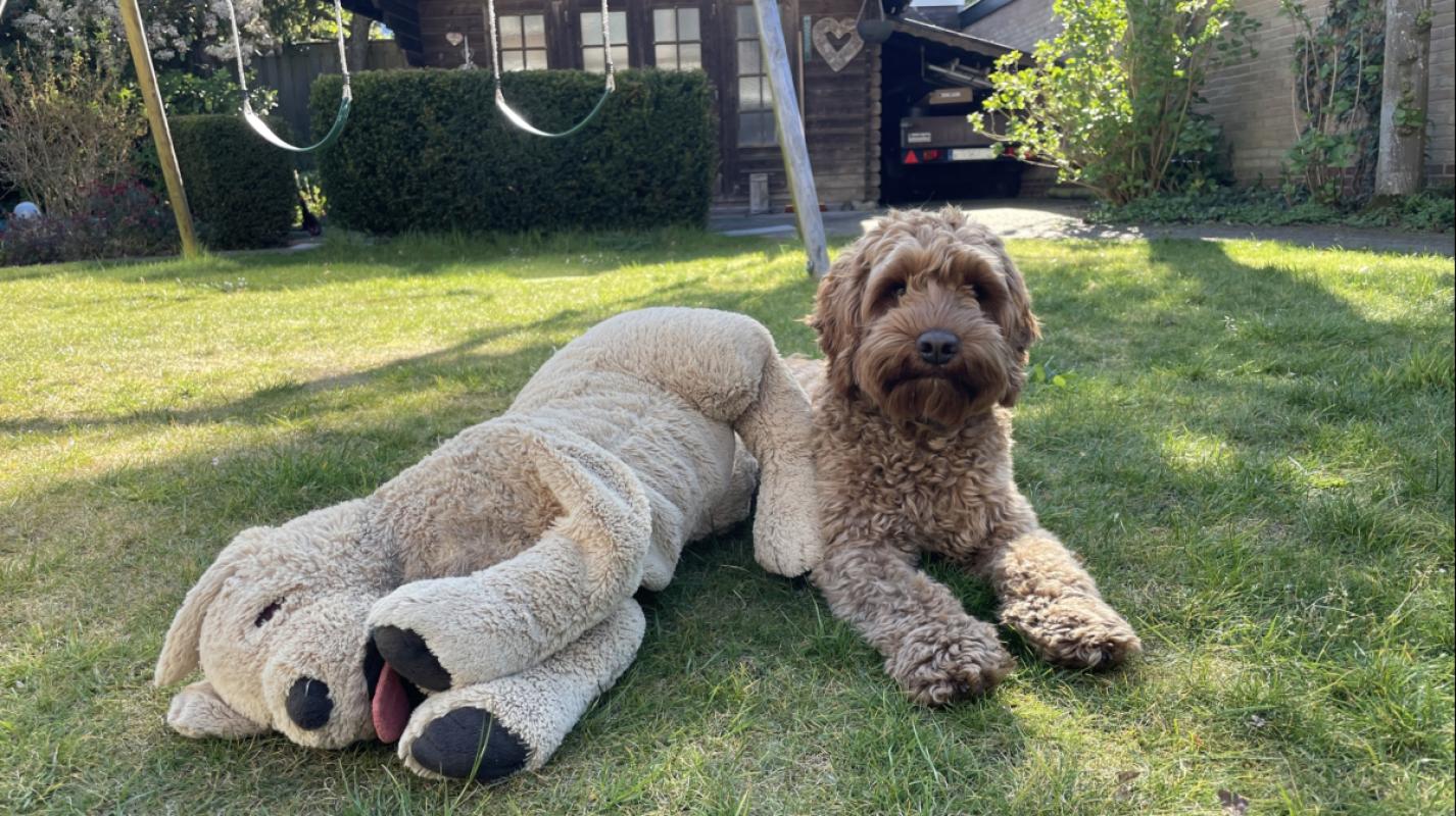 Charlie