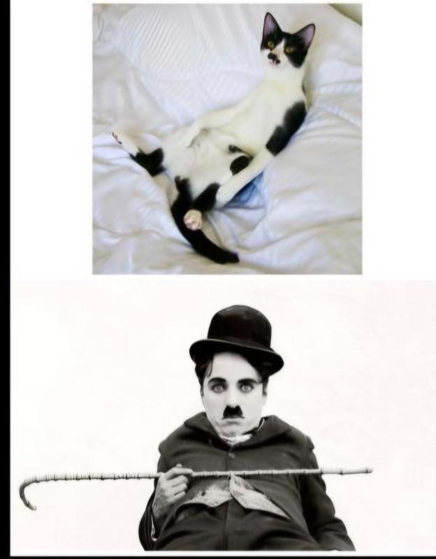 Charlie Chaplin