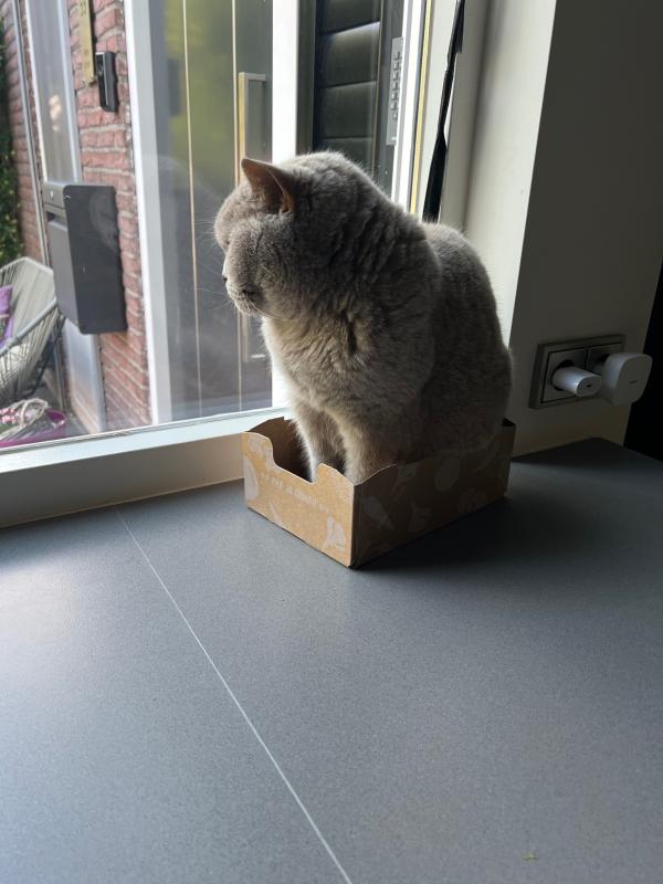 Binkie