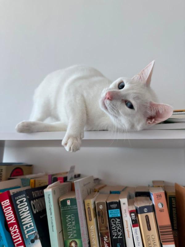 Whitey