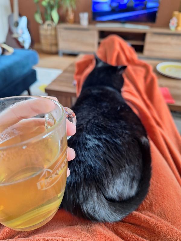 Kitty