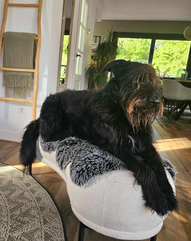 Max