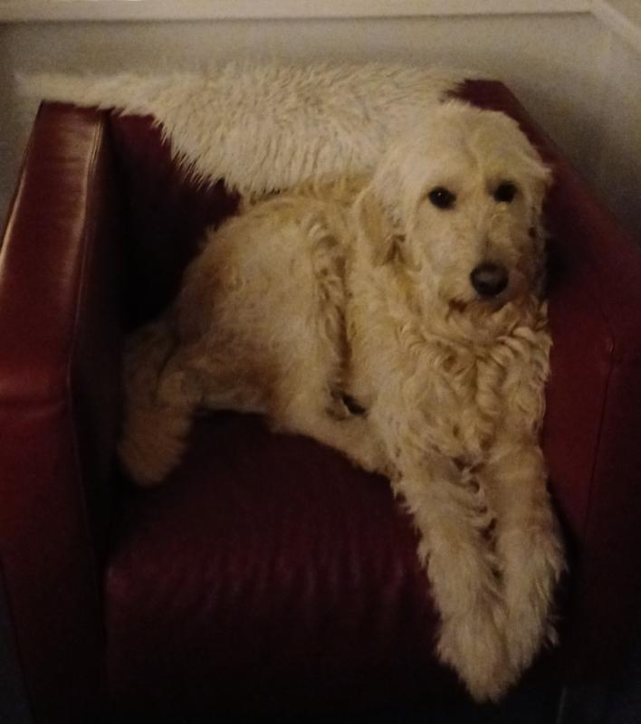 Hugo