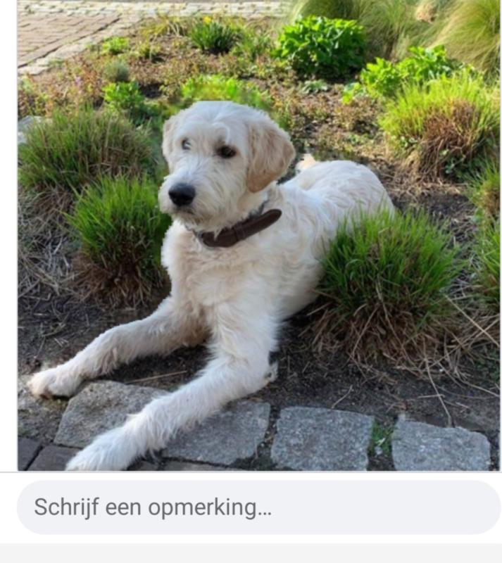 Hugo