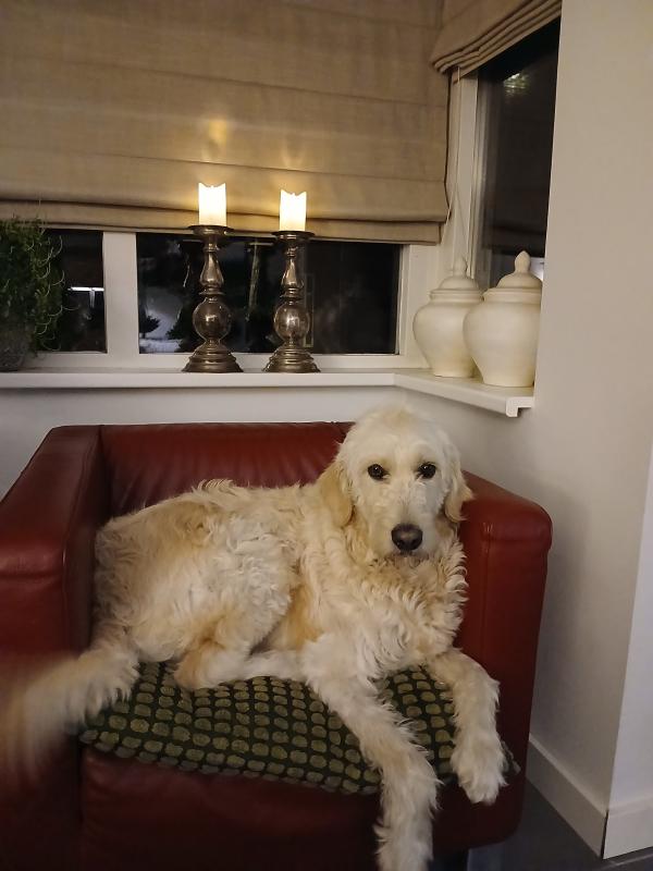 Hugo