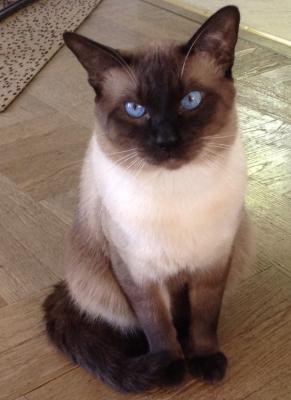 Ramses