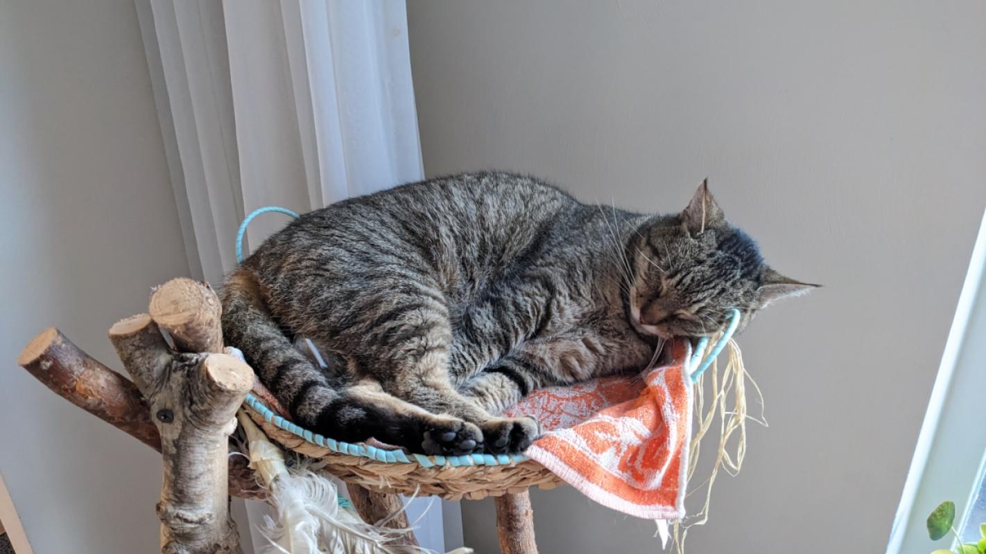 Mia