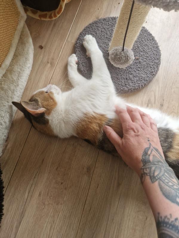 Margootje