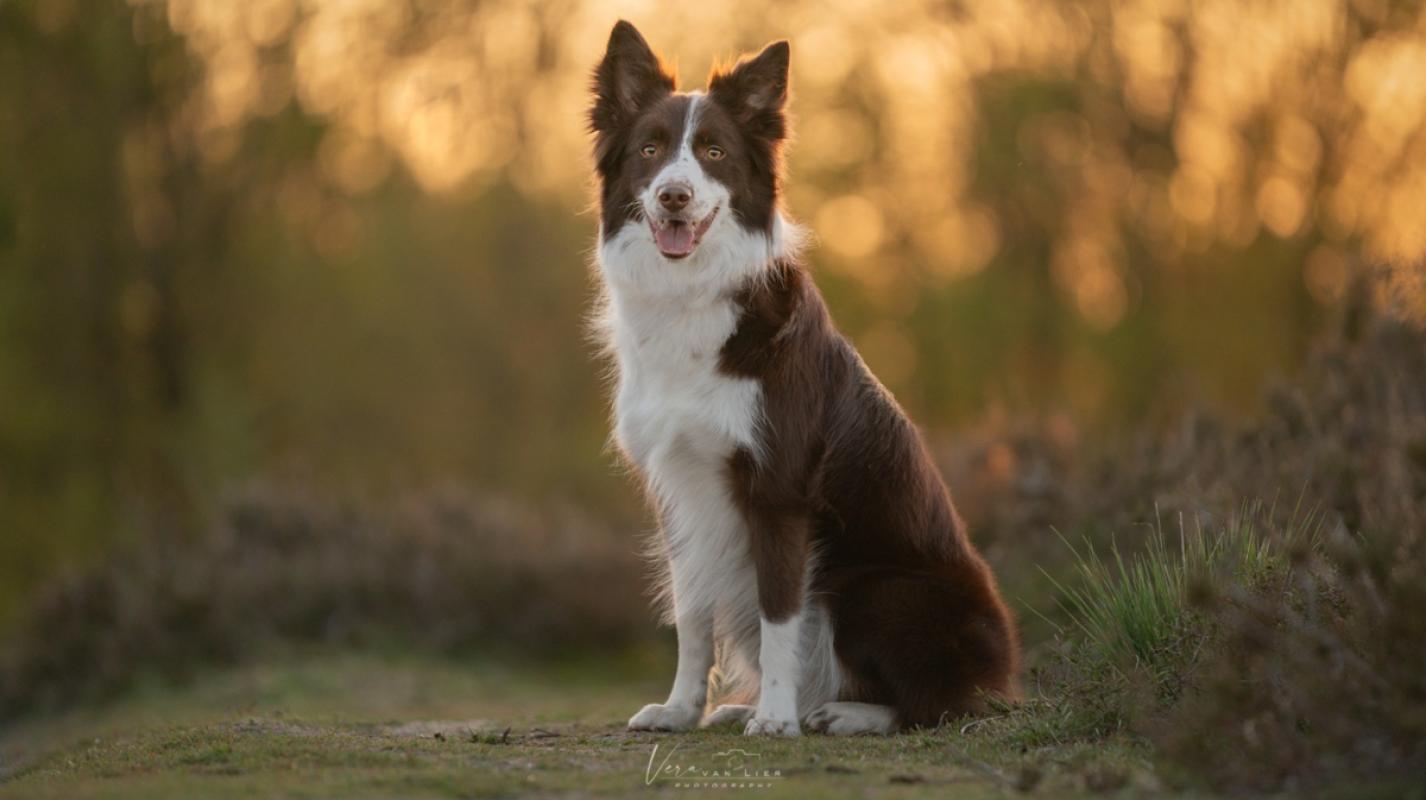 Amy