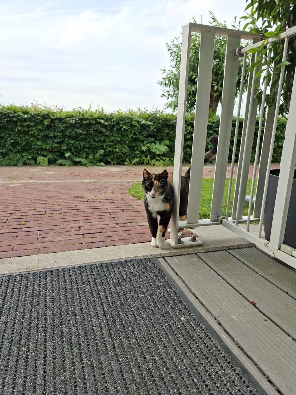 Minet