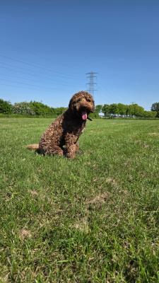 Max