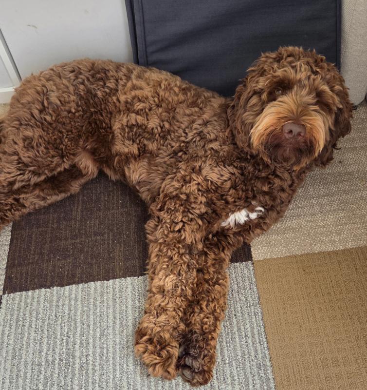 Max