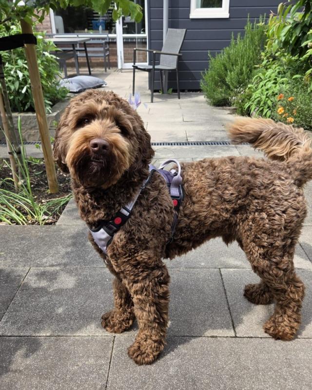 Max