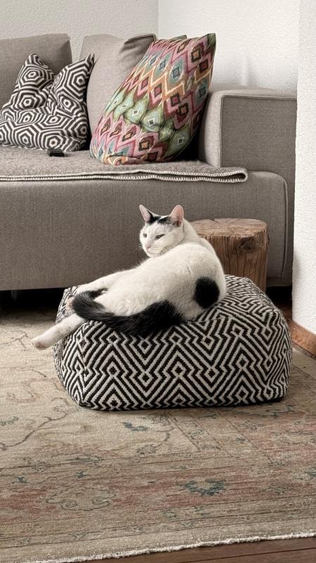 Mochi
