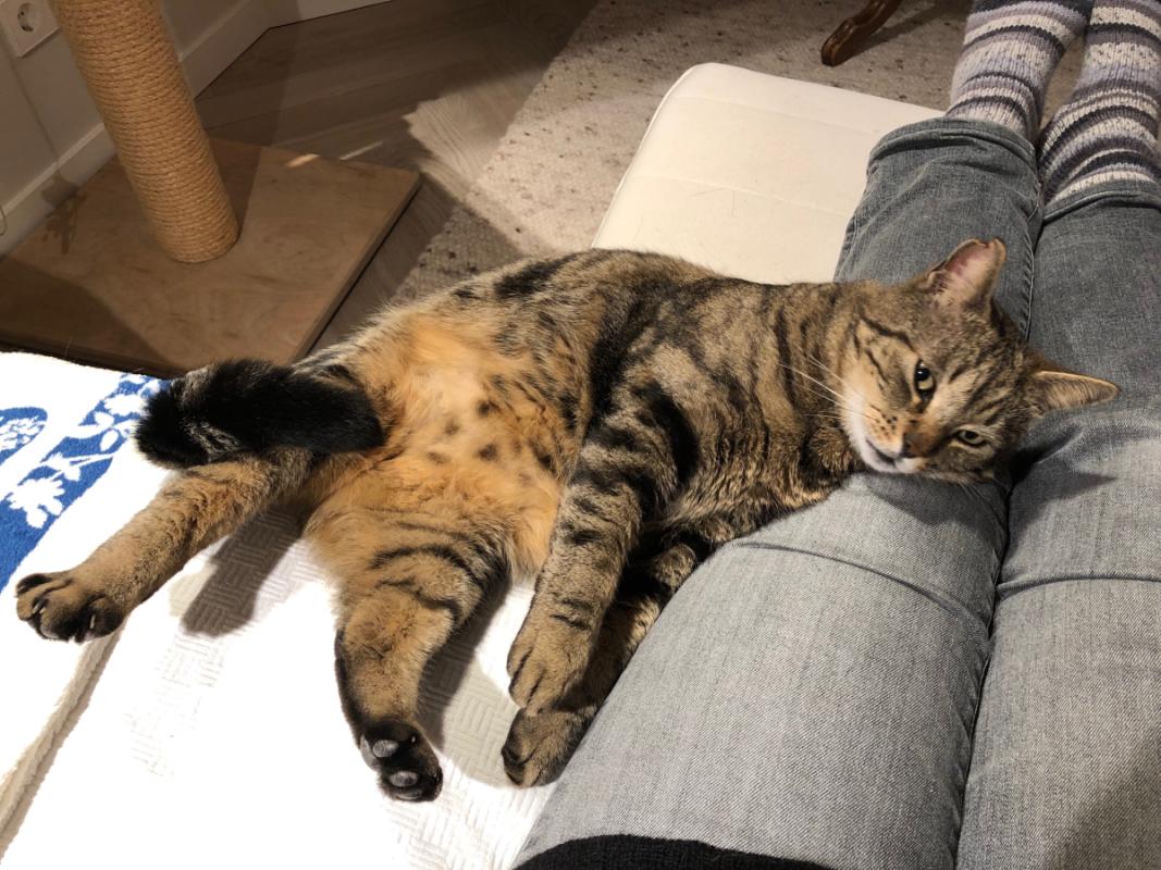 Coco