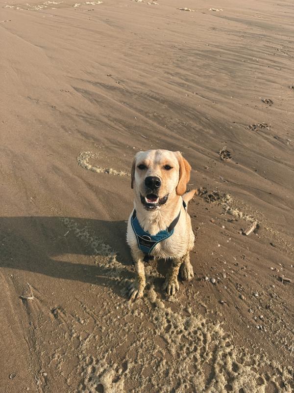 Milo