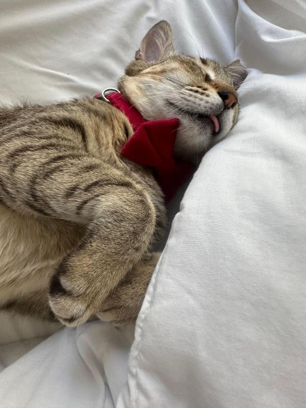 Suzie