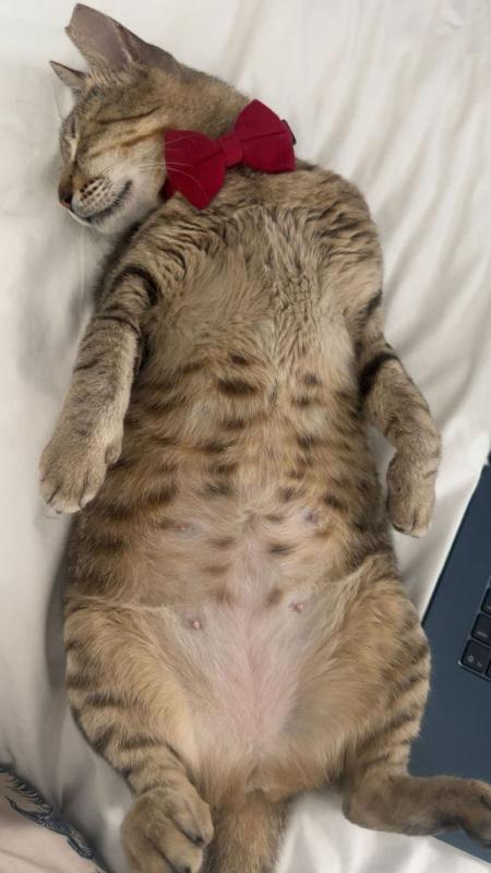 Suzie