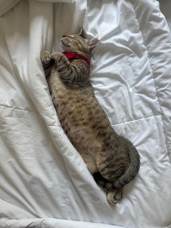 Suzie