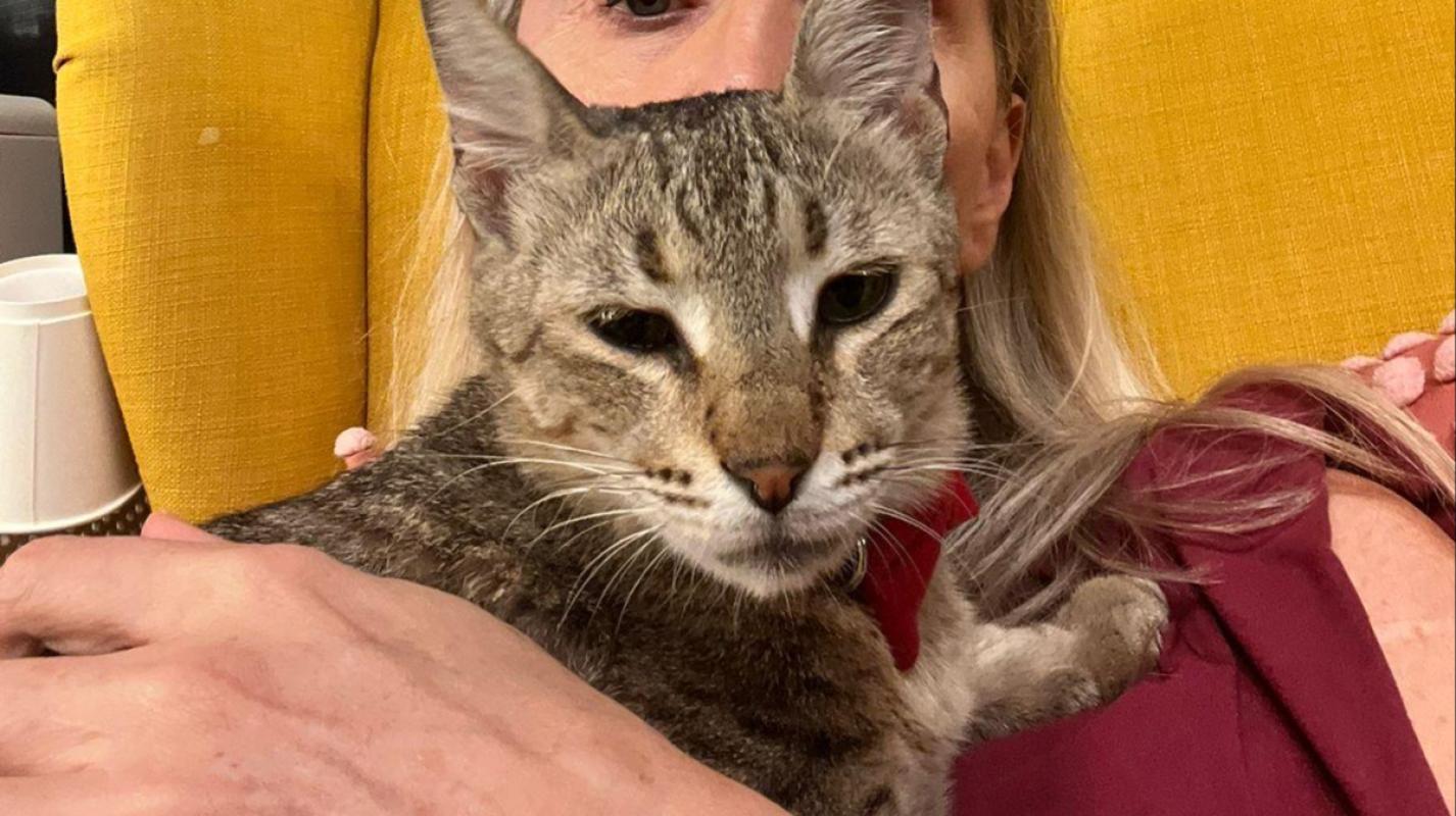 Suzie