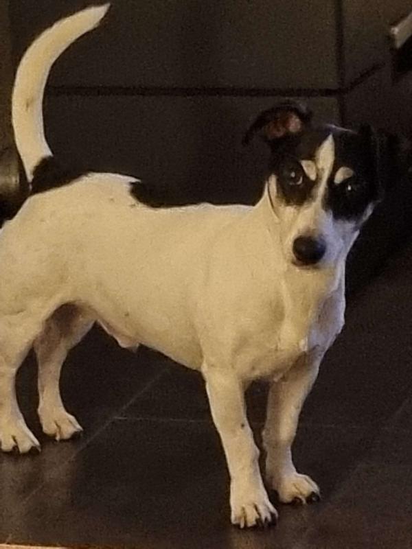 Juno